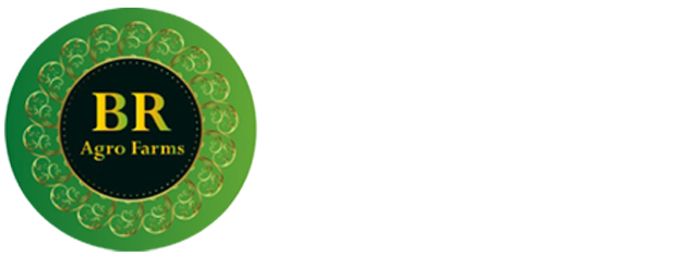BRAgro logo